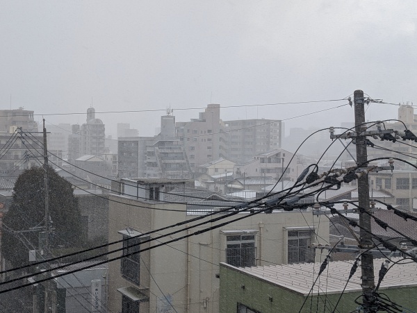 外はずっと雪景色でした。今日は衆議院選挙の投票日でもあり熊本にとっても忘れられない一日となりました。